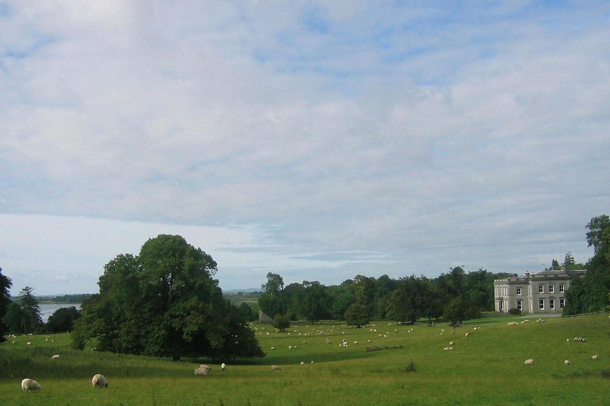 Temple House Bed & Breakfast Ballymote Exterior photo